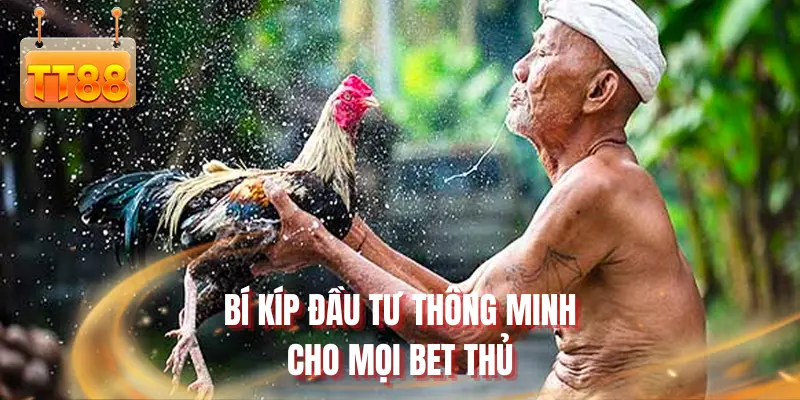 Bí kíp đầu tư thông minh cho mọi bet thủ