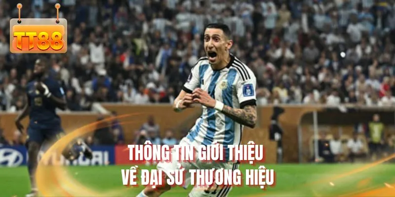 Thông tin giới thiệu về đại sứ thương hiệu